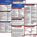 Labor Law Poster STA TX SP 26Wx20inH 1yr