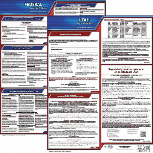 Labor Law Poster Fed/STA UT SP 20inH 3yr