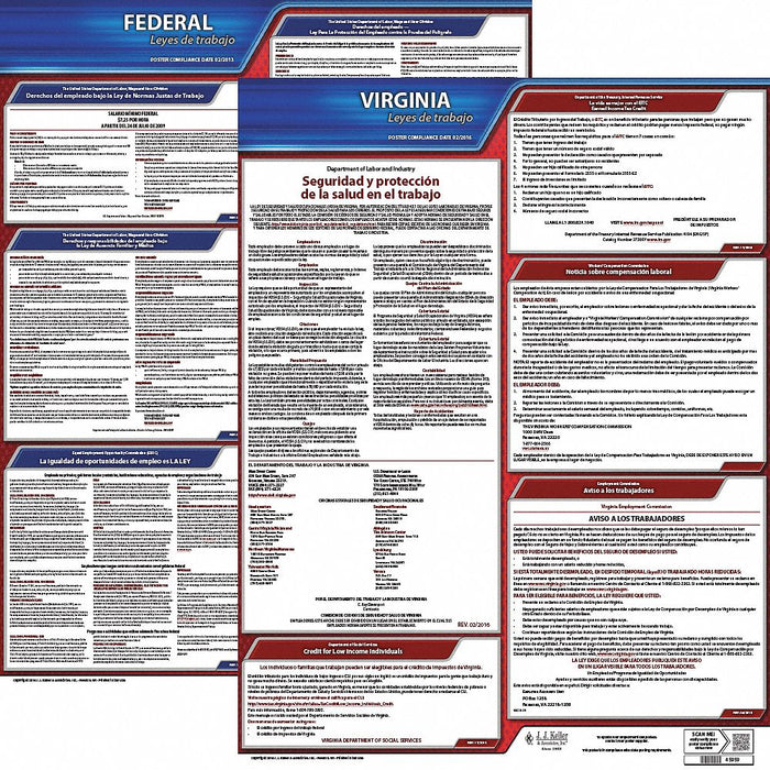 Labor Law Poster Fed/STA VA SP 20inH 3yr