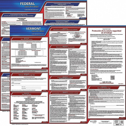 Labor Law Poster Fed/STA VT SP 20inH 3yr