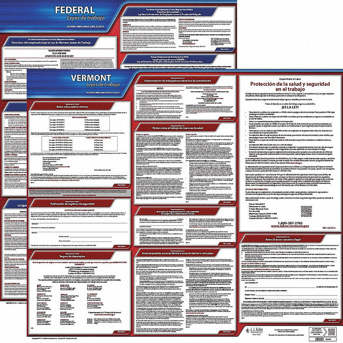 Labor Law Poster Fed/STA VT SP 20inH 3yr