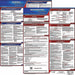 Labor Law Poster Fed/STA WA SP 20inH 1yr