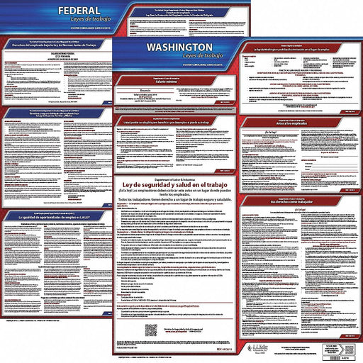 Labor Law Poster Fed/STA WA SP 20inH 3yr