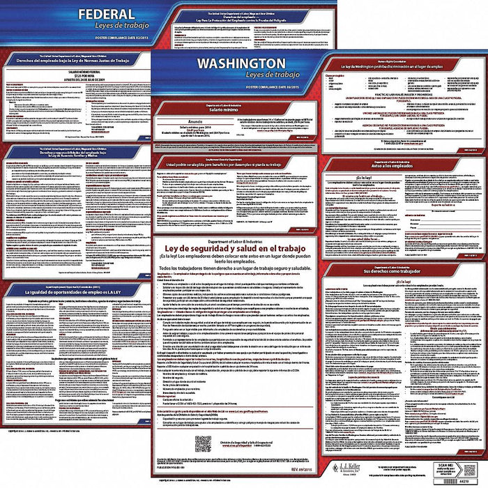 Labor Law Poster Fed/STA WA SP 20inH 3yr