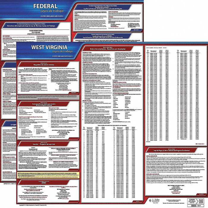 Labor Law Poster Fed/STA WV SP 20inH 3yr