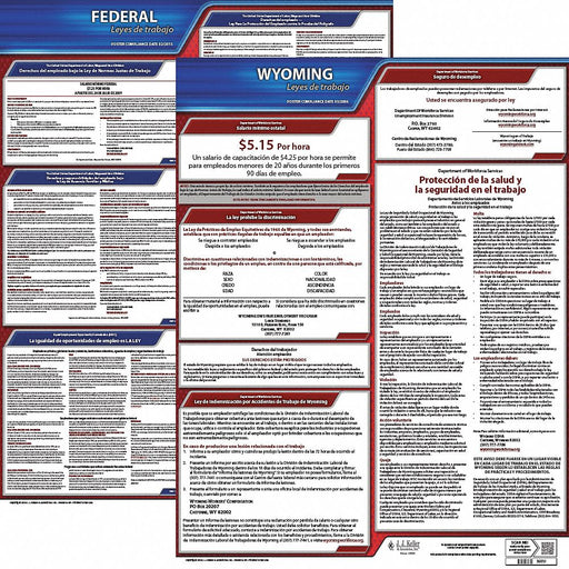 Labor Law Poster Fed/STA WY SP 20inH 3yr