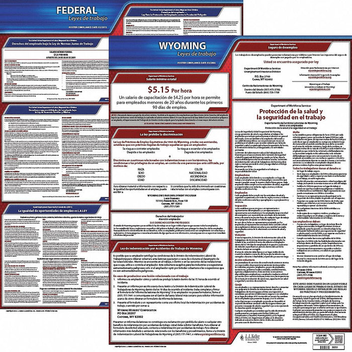 Labor Law Poster Fed/STA WY SP 20inH 3yr