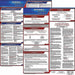 Labor Law Poster Kit WY Spanish 19 in W