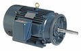 Motor 50 HP 3 570 rpm 326JP 230/460V