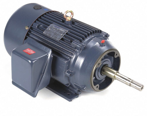 Motor 20 HP 1 770 rpm 256JP 230/460V