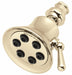 Shower Head Trumpet 2.5 gpm