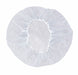 H8273 Hairnet Polyester White 24 in PK1000