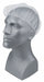 H8268 Hairnet Polyester White 18 in PK100