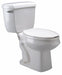 Tank Toilet China FloorMount