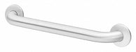 Grab Bar SS Satin 18 in L