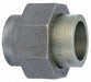 Union Steel 2 x 2 in Pipe Size Socket