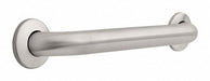 Grab Bar SS Unfinished 16 in L