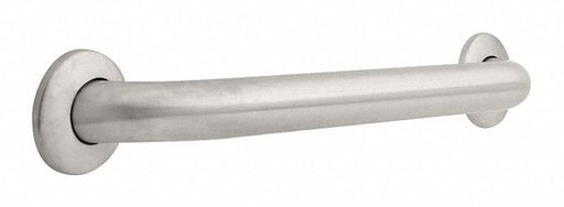 Grab Bar SS Unfinished 18 in L