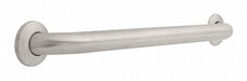 Grab Bar SS Unfinished 24 in L