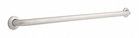 Grab Bar SS Unfinished 42 in L