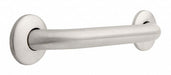 Grab Bar SS Unfinished 12 in L