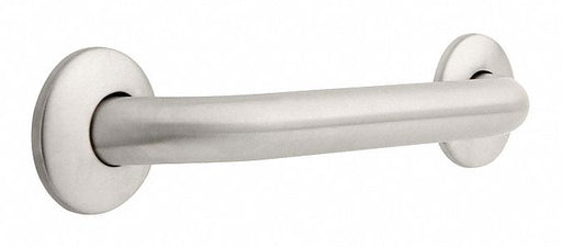Grab Bar SS Unfinished 12 in L