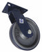 PlateCaster Swivel Polyurethane 11 1/2 H