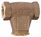 Inline Strainer 2 7/8 in H 400 micron