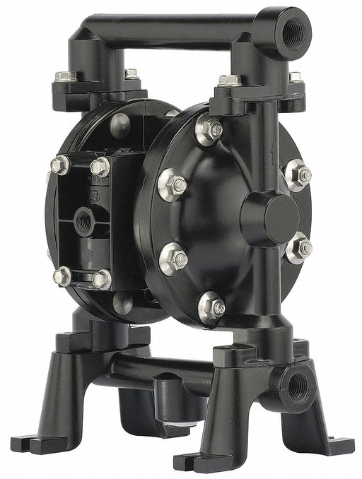 Dbl DphrmPmp NPTF TPV/PP 1/4in 12.4gpm