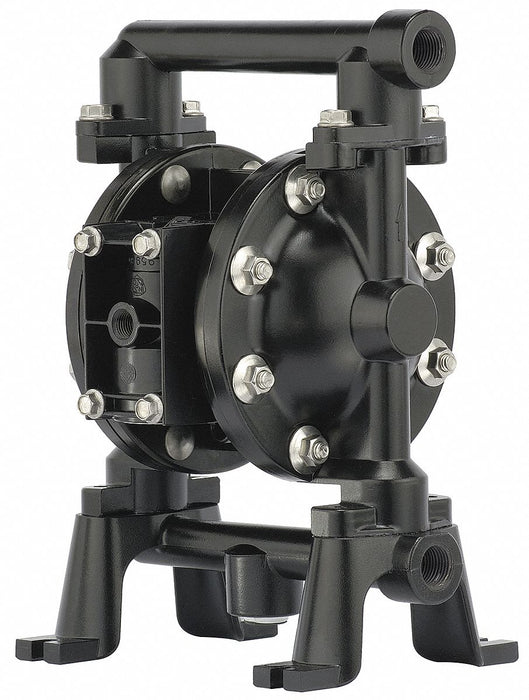 Dbl DphrmPmp NPTF TPV/PP 1/4in 12.4gpm