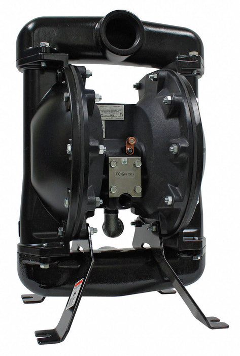 DblDphrmPmp NPTF Viton/PP 3/4in 148.5gpm