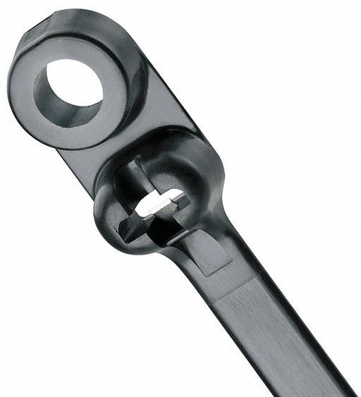 Cable Tie Mountable 15.6 in Blk PK100