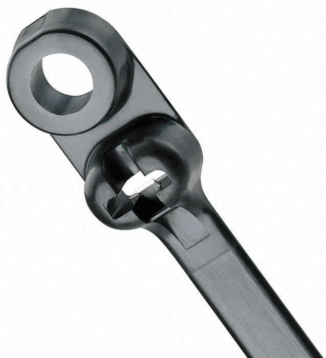 Cable Tie PK100