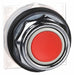 H4518 Flush Push Button Red Non-Illum 30mm