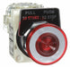 H6946 MushroomPushButtn Illm Transfmr Red SPDT