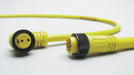 Cordset 4 Pin Plug Male