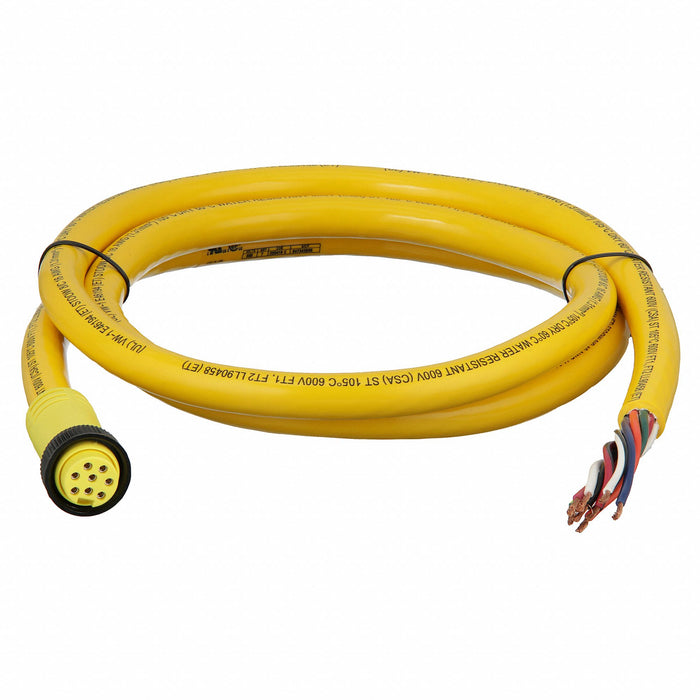 Cordset 8 Pin Receptacle Female