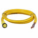 Cordset 8 Pin Receptacle Female