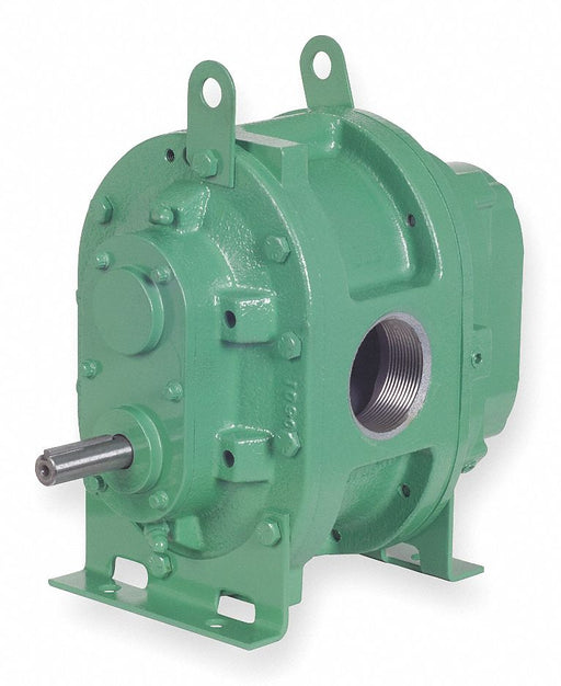 Positive Displacement Blower 2 in FNPT