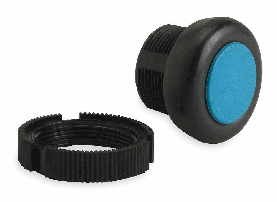 Flush Push Button Blue Non-Illum 22mm