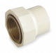 Straight CPVC FNPT 1/2 in Socket