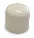 Cap CPVC Socket 2 in