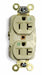Recept Ivory 20 A 2P3W Back Side 1PK