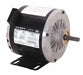 Belt Drive Motor 1/2 hp