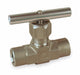 Needle Valve Straight 316 SS 1/2 In FNPT