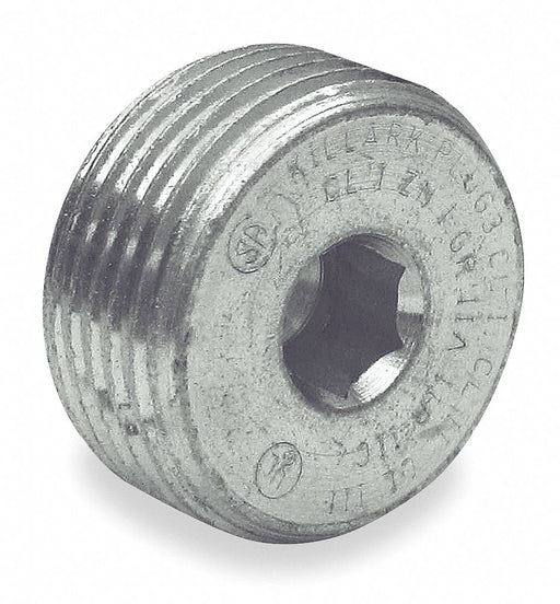 Blank Plugs Steel Trade Size 1in