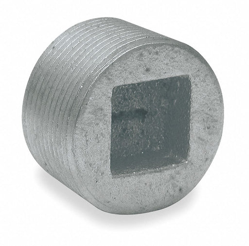 Blank Plugs Steel Trade Size 1 1/4in