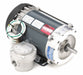 Motor 1/2 HP 1725 rpm 56C 115/208-230V
