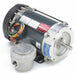 Motor 3/4 HP 3450 rpm 56C 115/208-230V