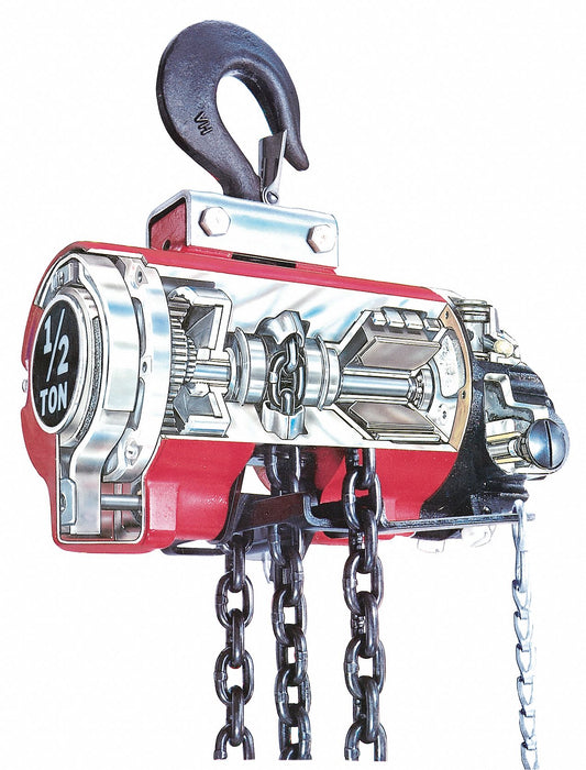 Air Chain Hoist 1100 lb Cap. 10 ft Lft